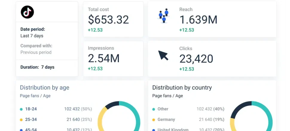 tiktok_campaign_report_e24db66bc8