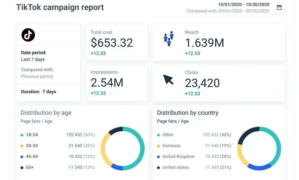 tiktok_campaign_report_e24db66bc8
